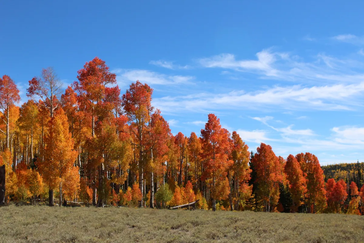 How Expensive Is It to Live in Cedar City, Utah?