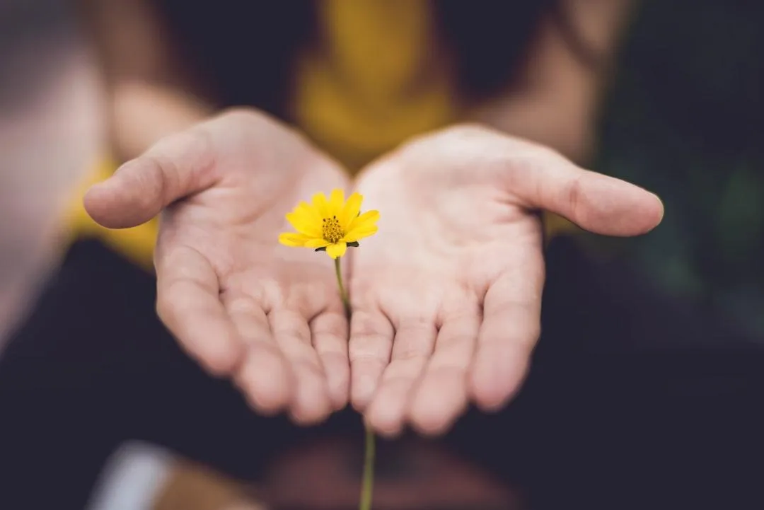 free course for ending emotional eating and cravings