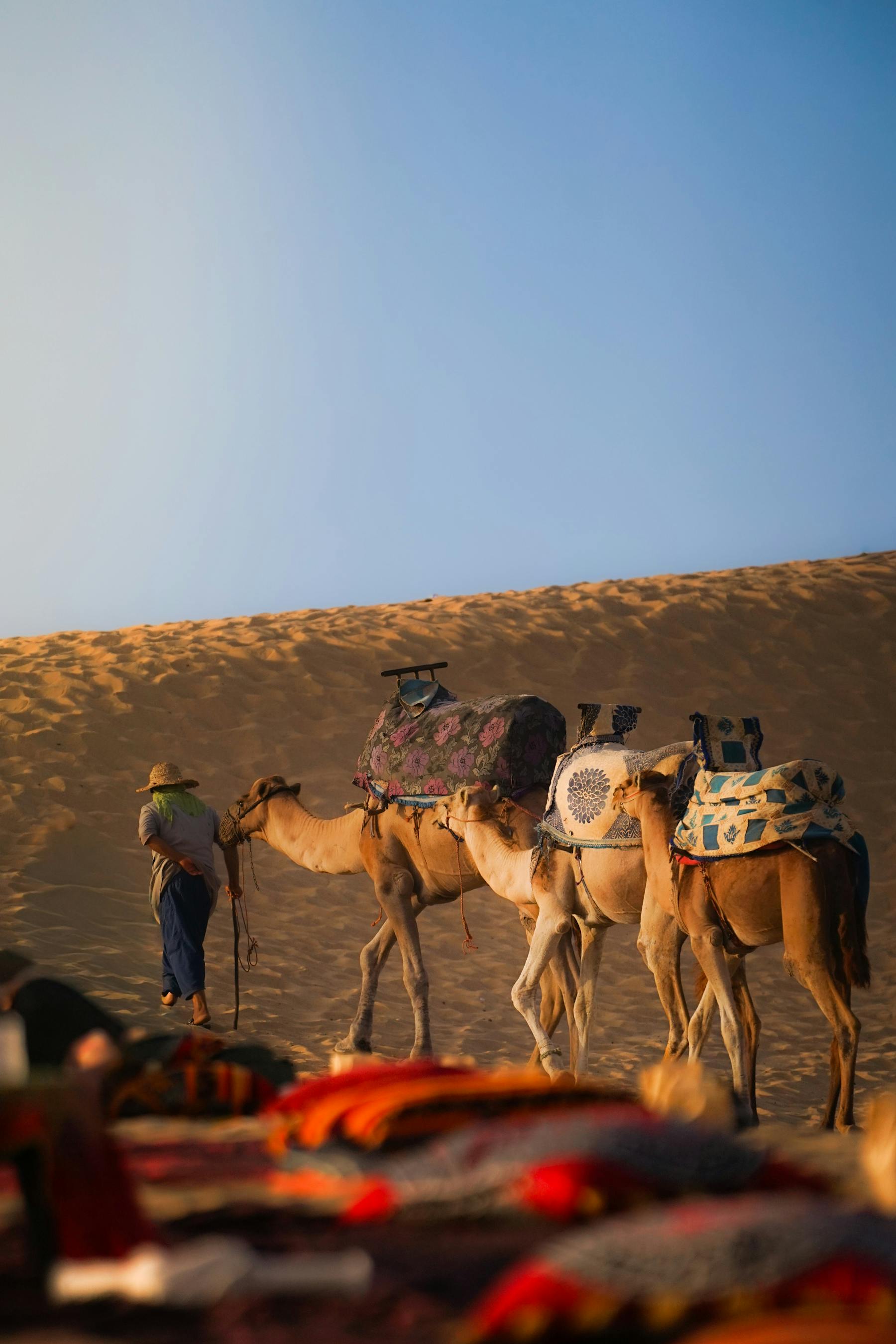 Best Time to Visit Morocco for Adventure Travel