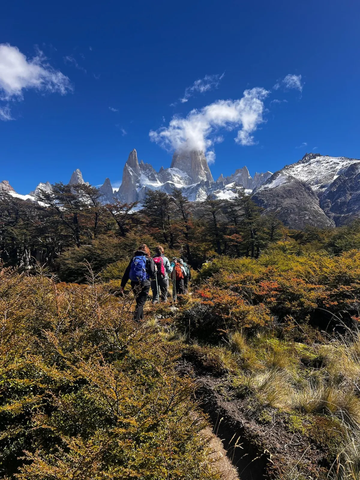 Patagonia Travel Guide: Why February Is One of the Best Times to Visit Patagonia for Adventure