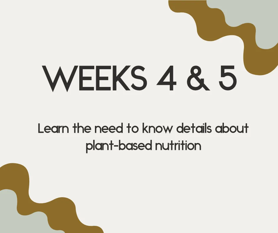 weeks 4 & 5 learn the need to know details about plant-based nutrition