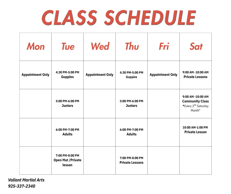 Class Schedule Valiant Martial Arts 
