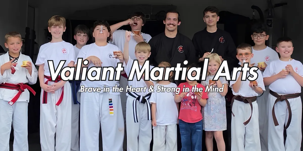 Valiant Martial Arts Header Home Page