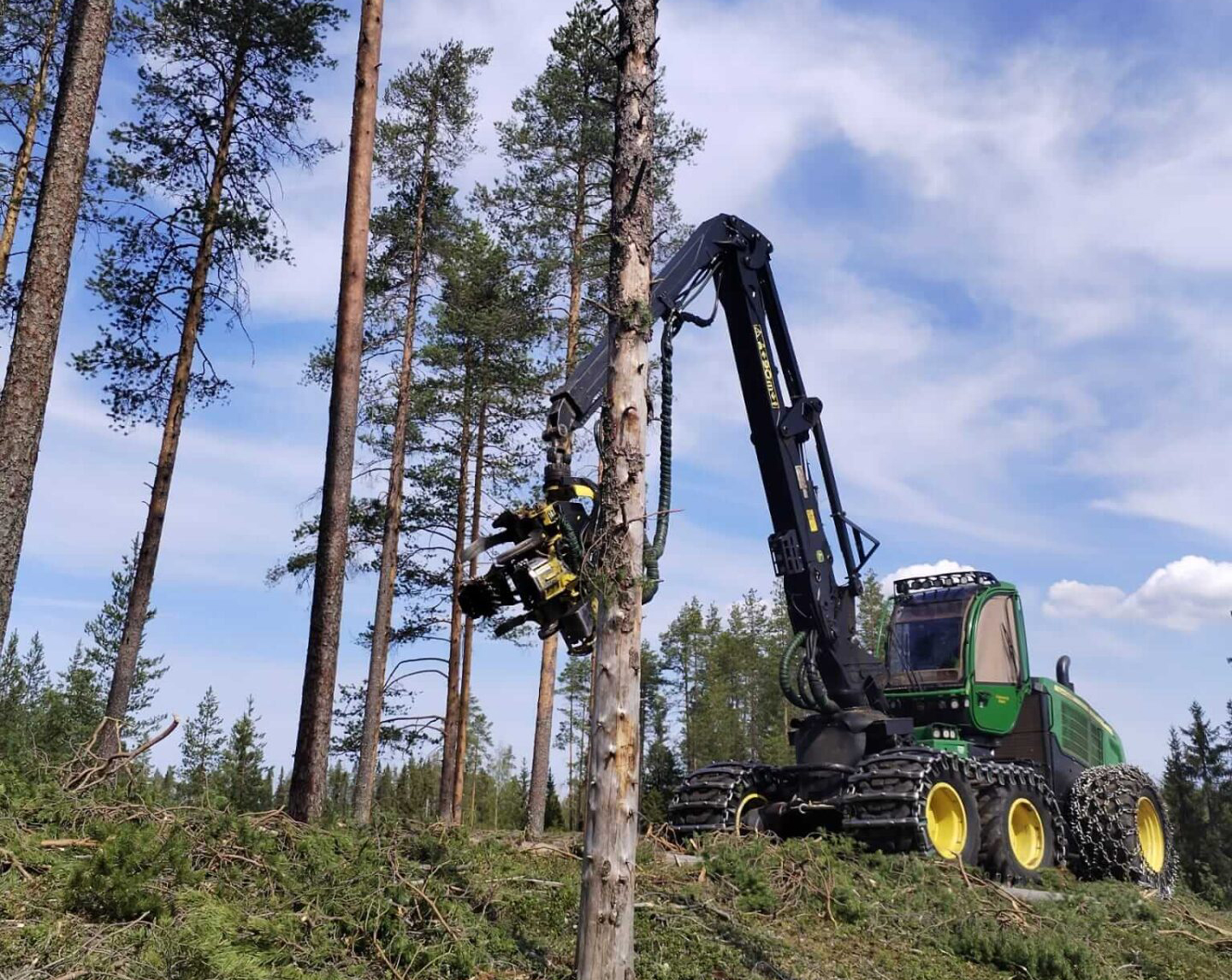 Metsätyökone metsätöissä