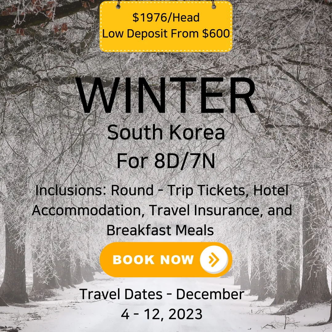 Aventuri: Winter - South Korea Airfare Hotel Package - 8D7N