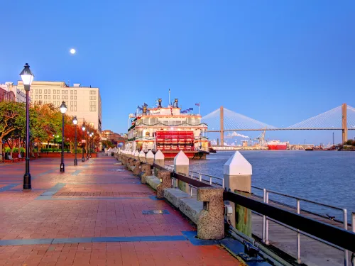 Ellijay 24 hour Emergency tree removal (storm work)