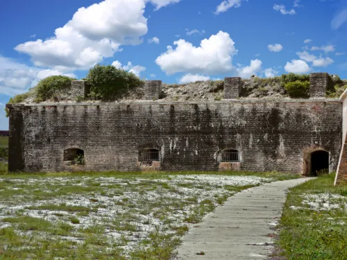Pickens Tree Removal