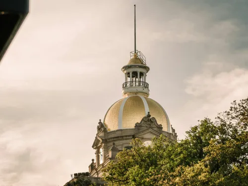 Cherokee Tree Removal