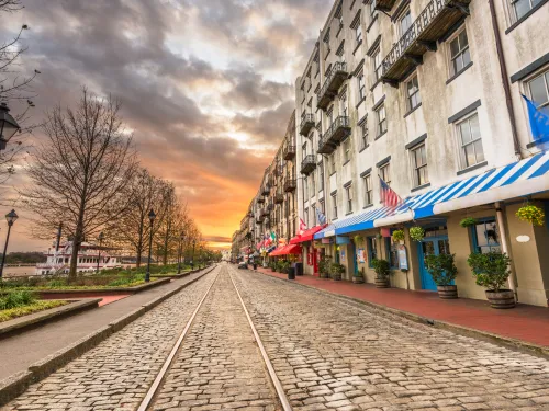 Muray 24 hour Emergency tree removal (storm work)