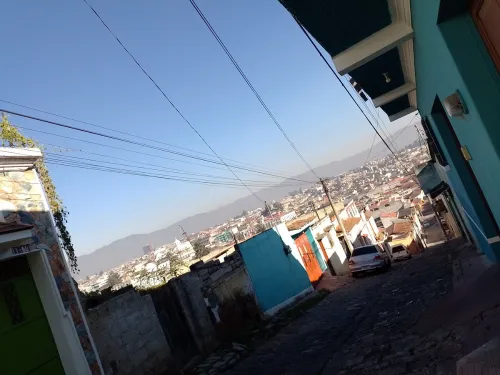 Dawson 24 hour Emergency tree removal (storm work)