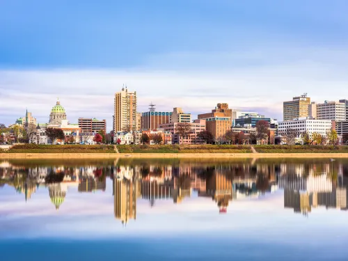 Gordon 24 hour Emergency tree removal (storm work)