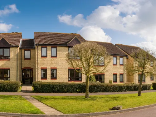 Whitfield Land Clearing