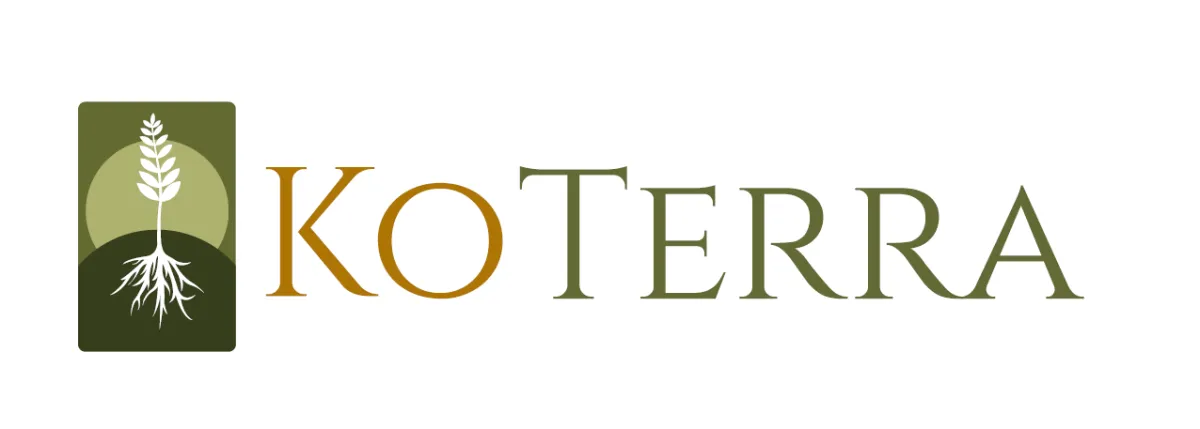diseño regenerativo