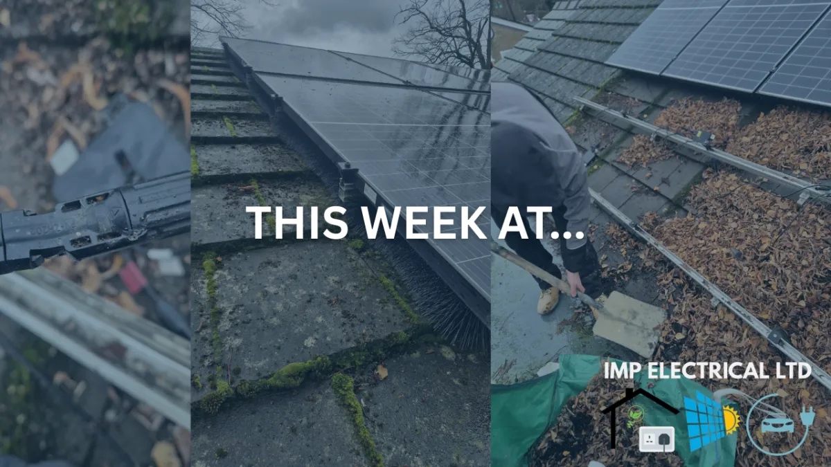 Weekly Win: Solar PV System Restored After Major Debris Build-Up