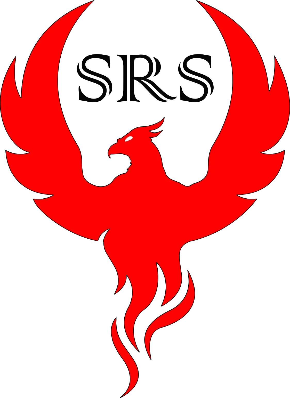 Special Risk Solutions Logo