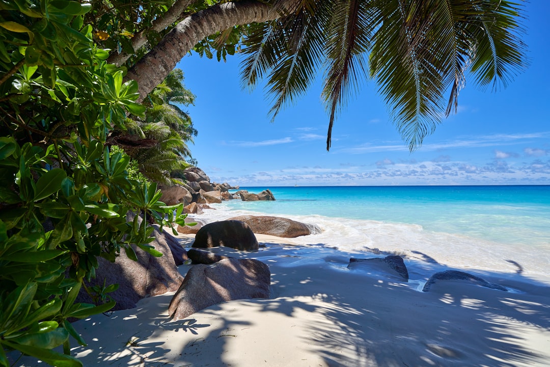 a sandy beach with waves coming in and out of the water