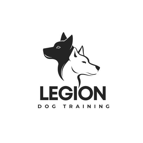 West Austin Dog Training