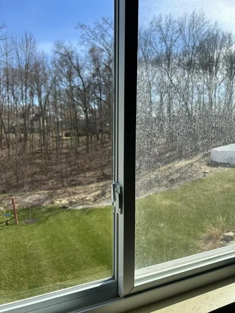 Interior Window Cleaning 