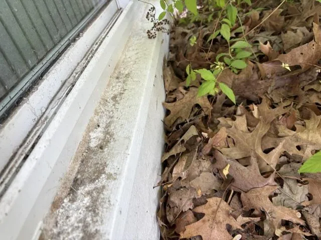 Power Washing 