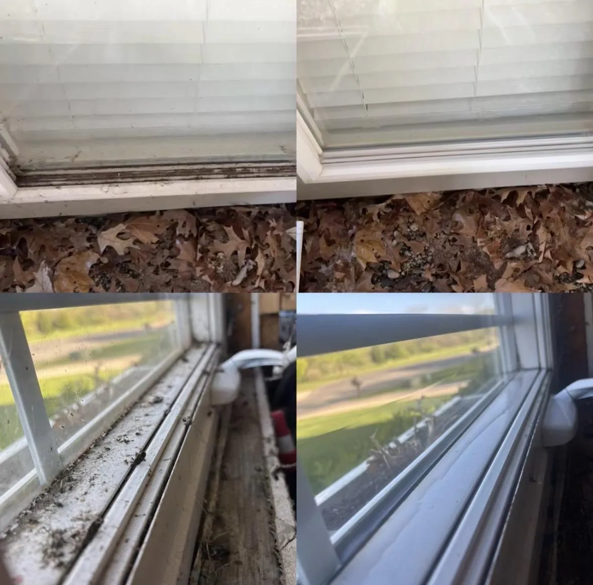 Gutter Cleaning Lowell