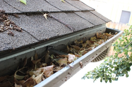 Grand Rapids Gutter Cleaning
