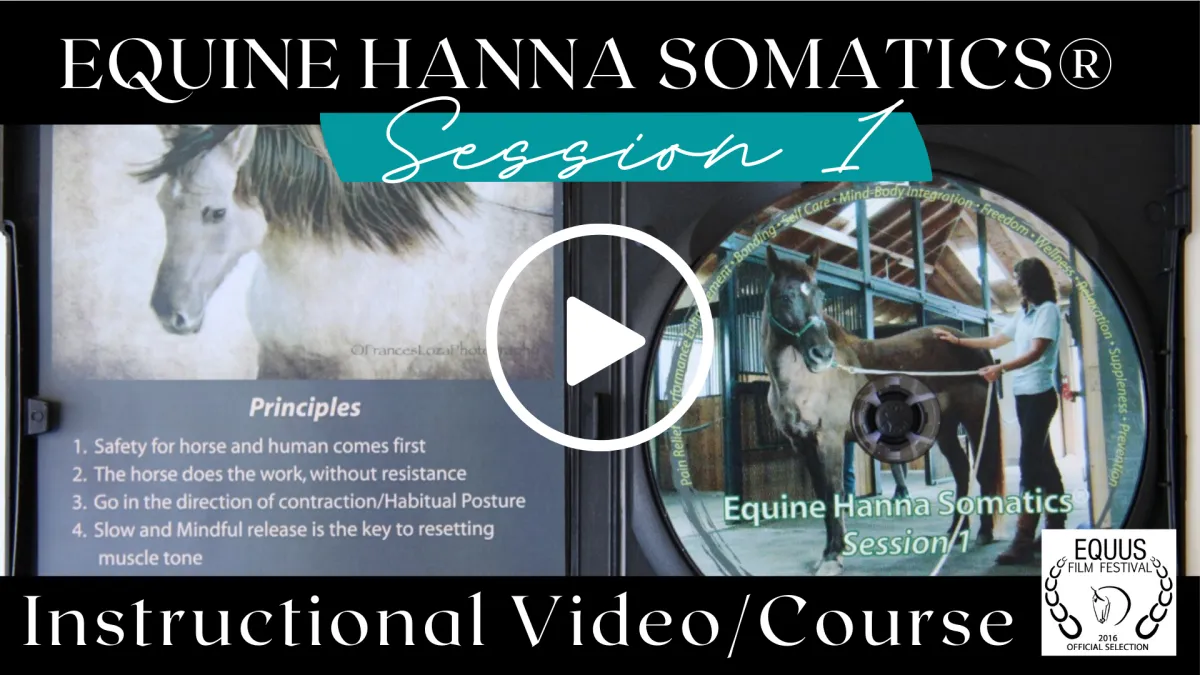 Equine Hanna Somatics Instructional Video