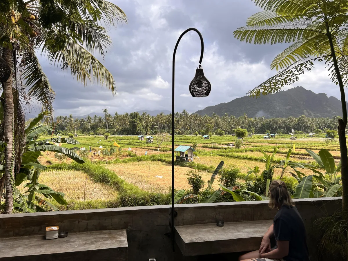 Rice fields and coffee in Candidasa