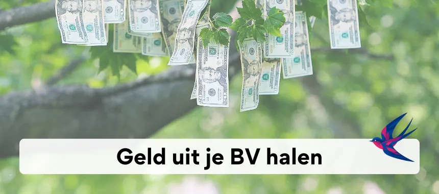 geld uit bv halen