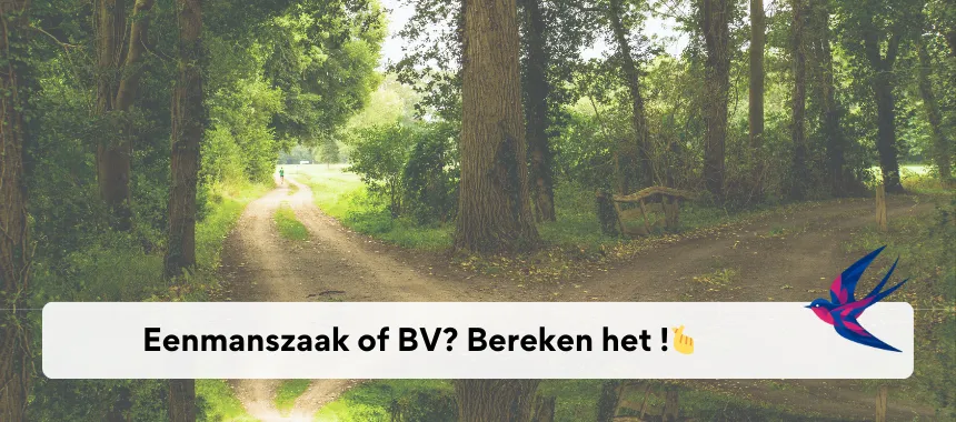 Eenmanszaak of BV, bereken het