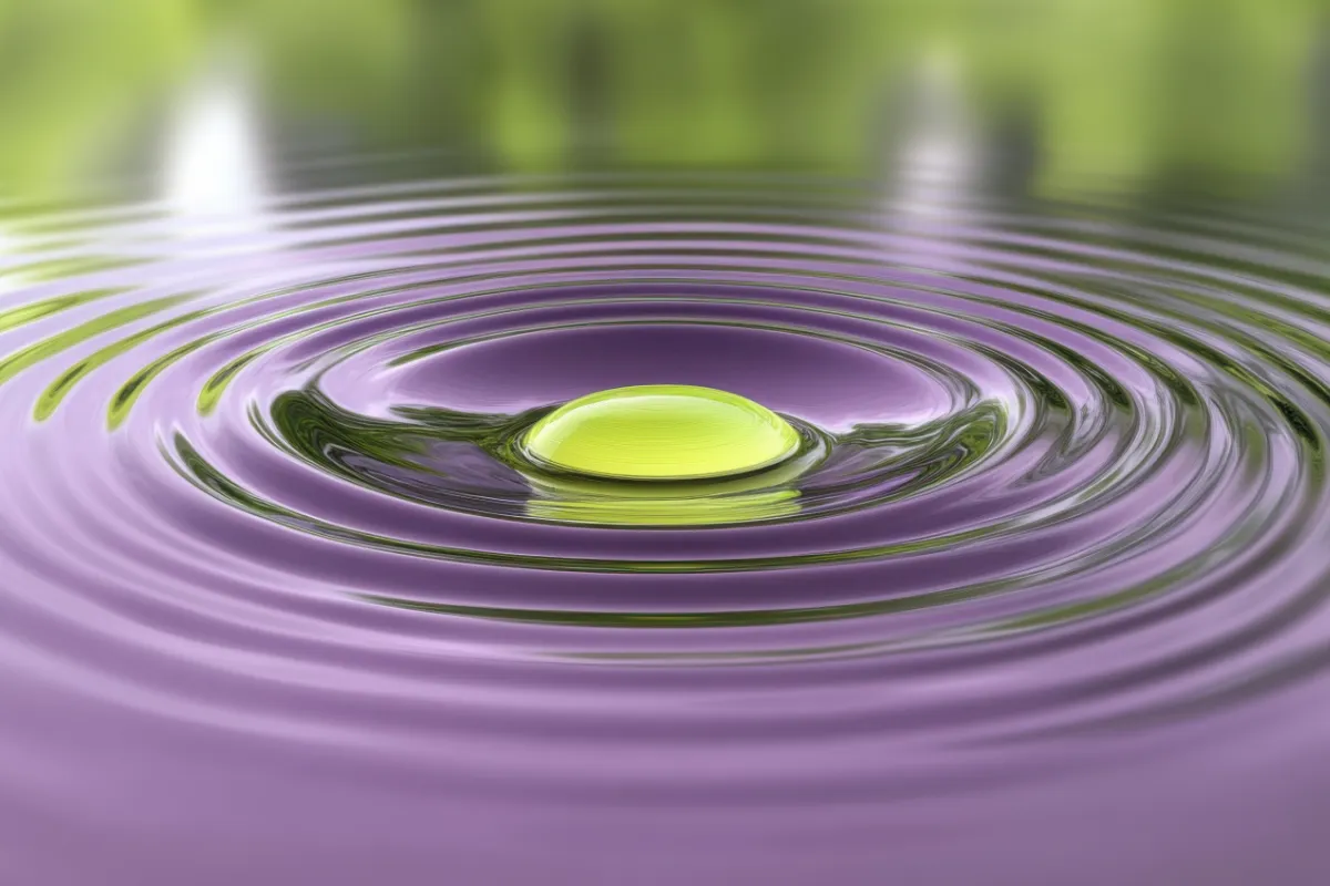 Therapist in Kansas City