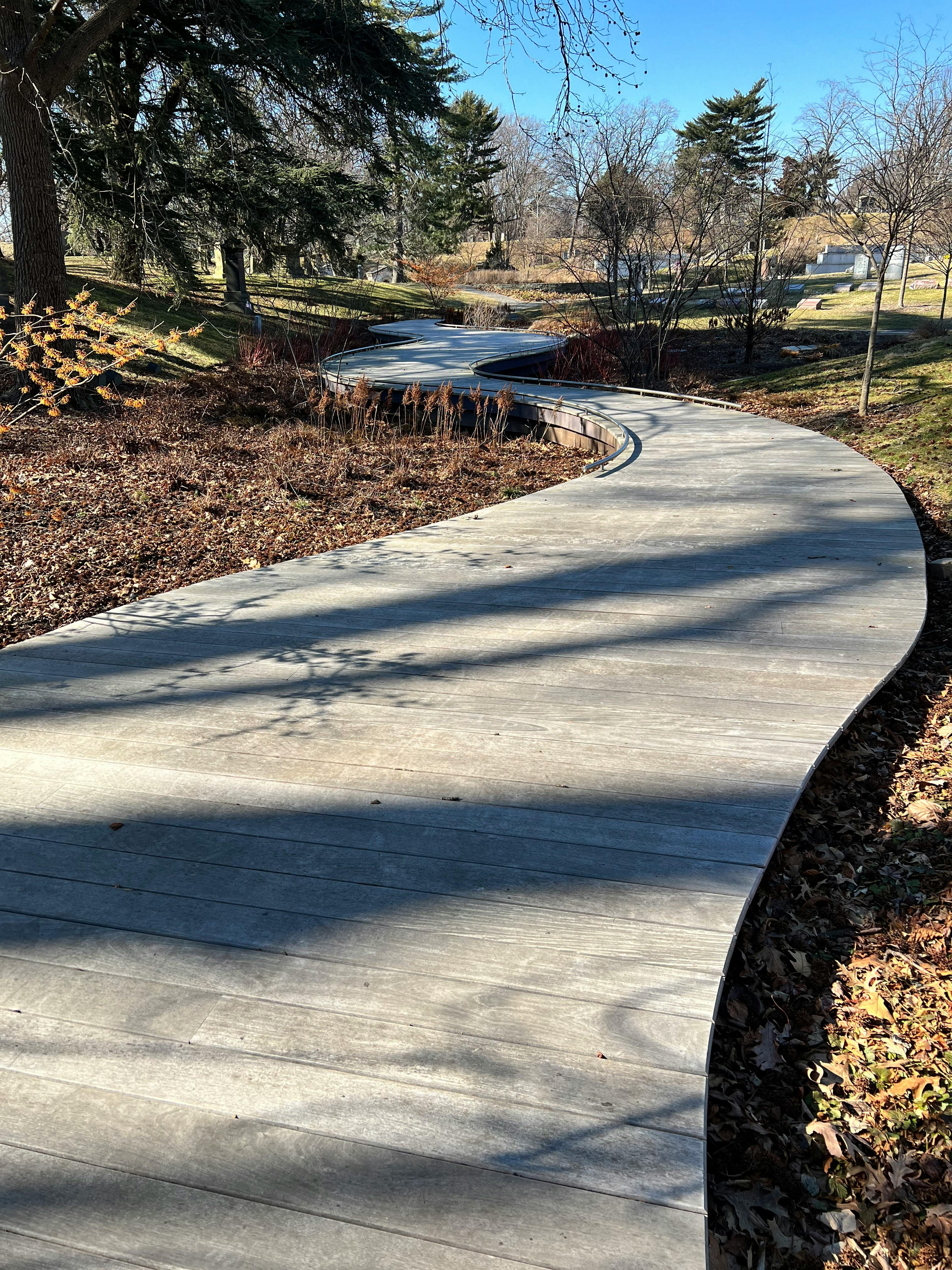 pathway across a park or garden with trees