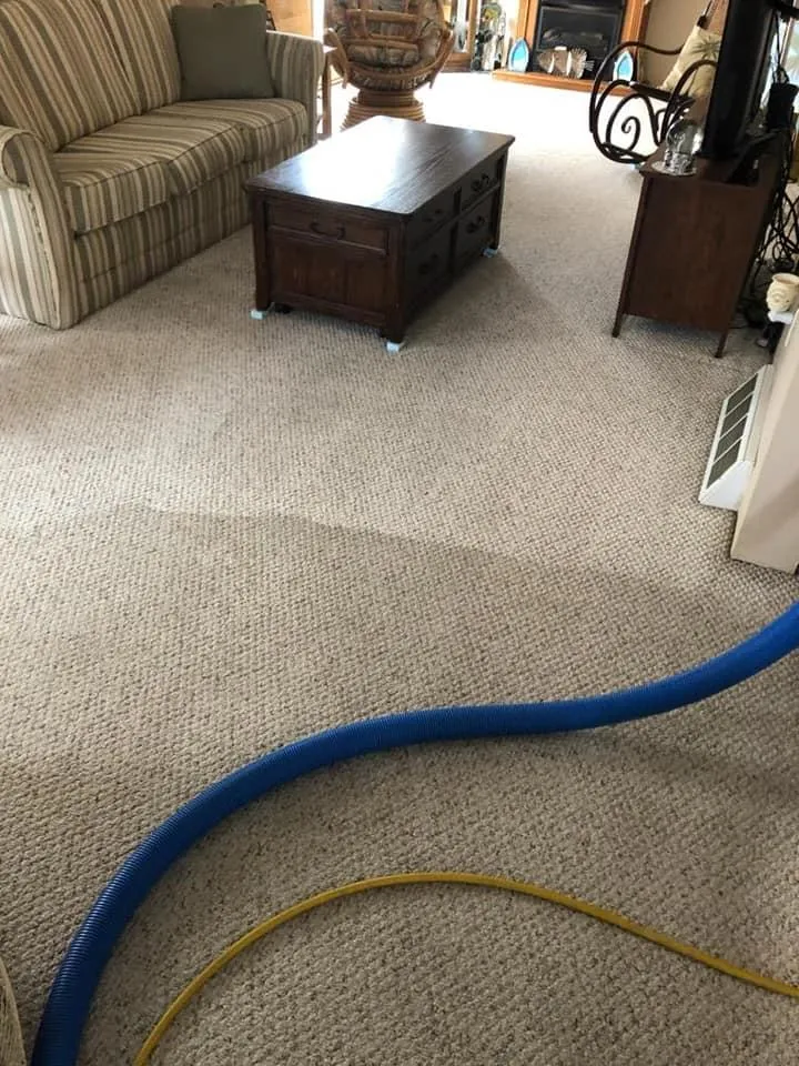 Can Professional Cleaning Remove Old Carpet Stains for Good?