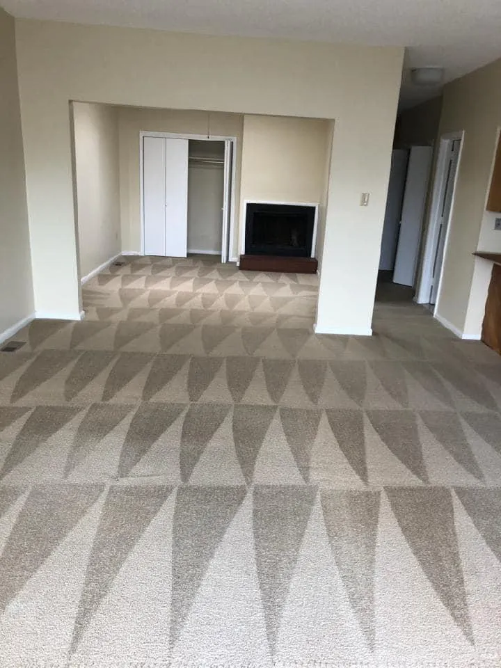 Real Estate and Staging Carpet Cleaning in New Jersey