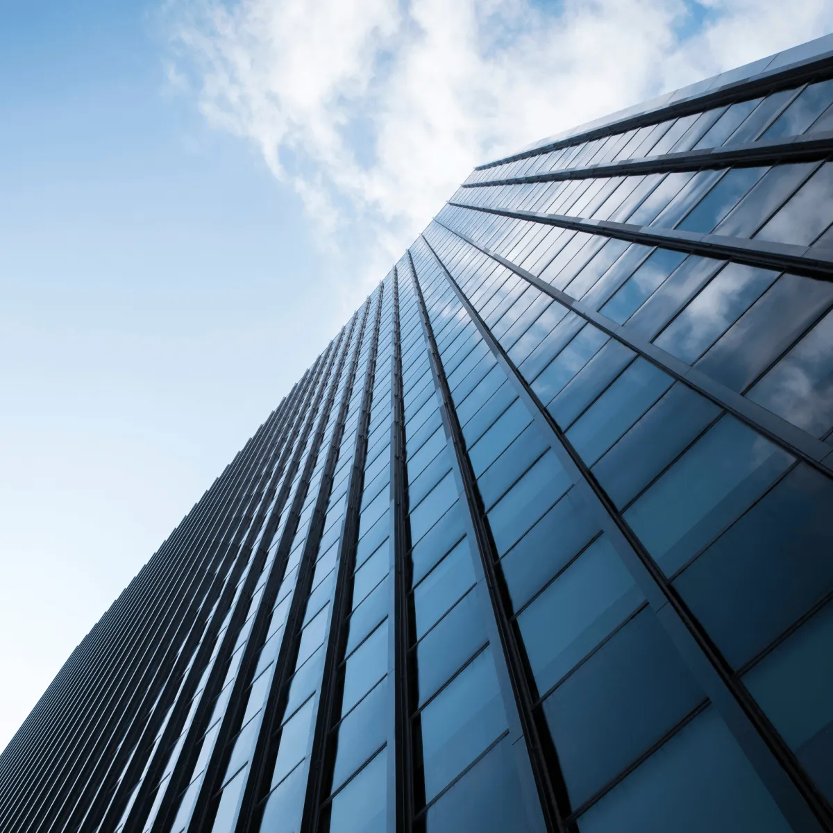 Live Executive Training Sessions