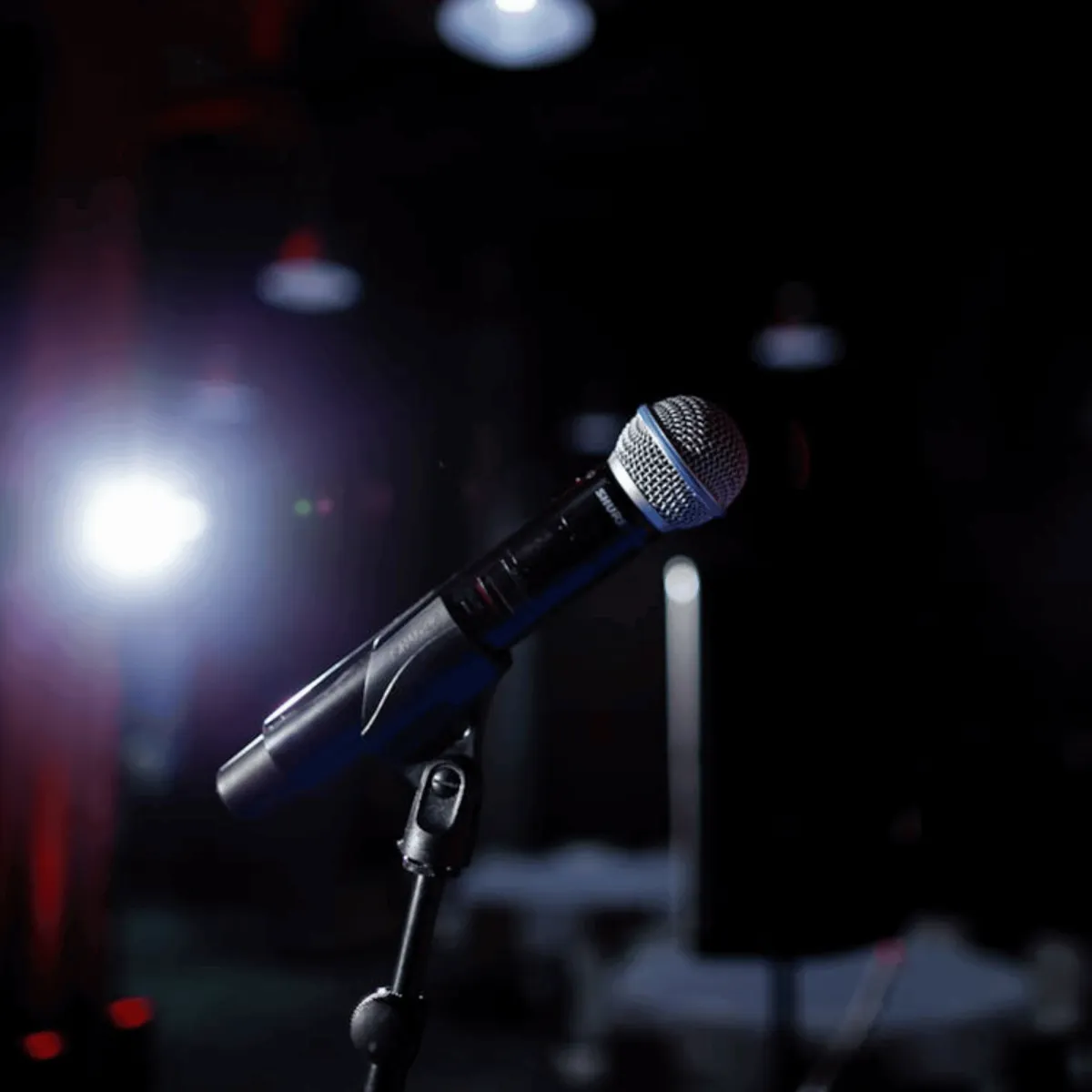 Emotional Regulation Leadership