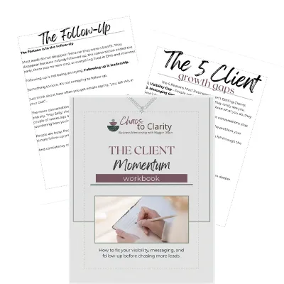 Client Momentum workbook view
