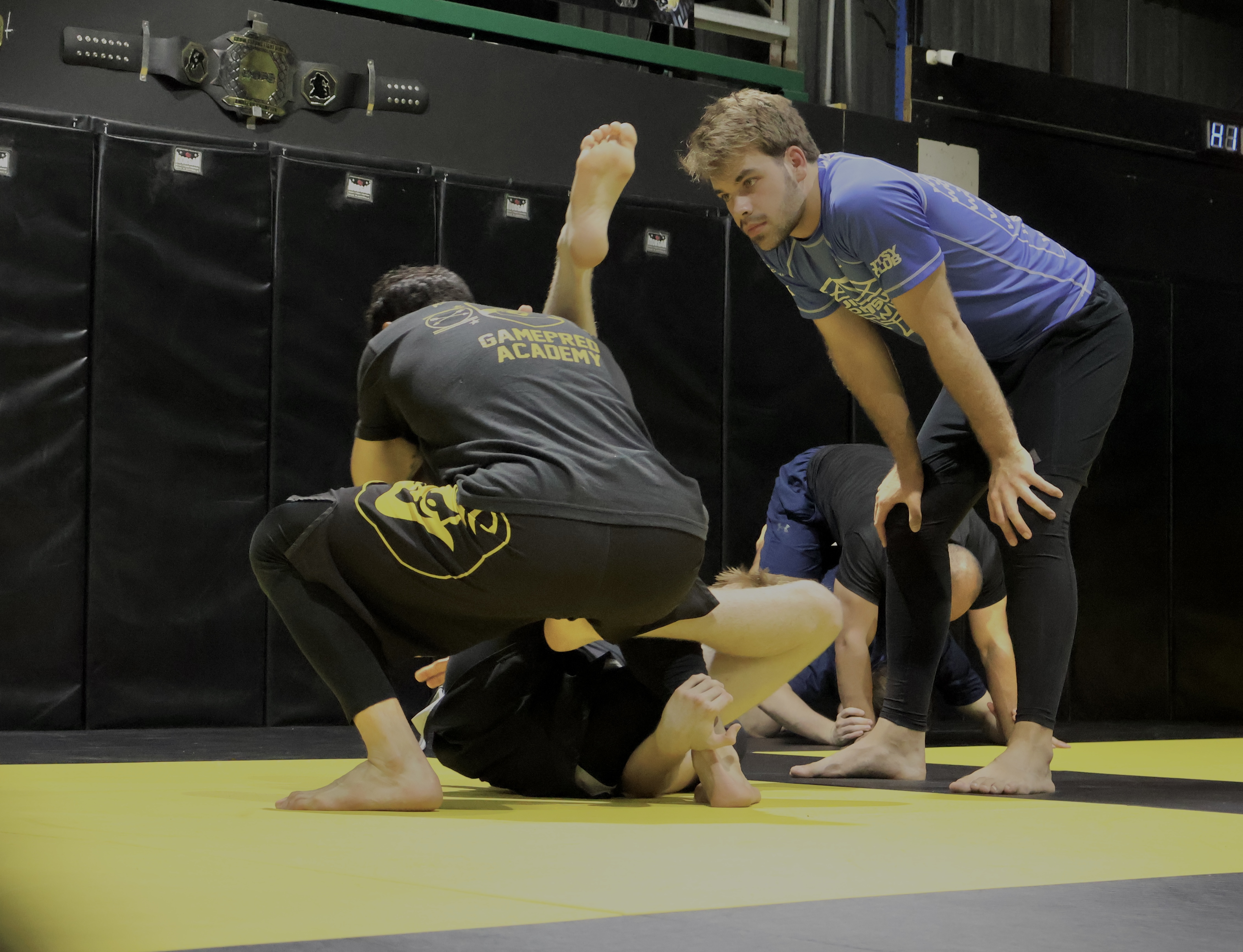 Mixed martial Arts Classes in Brisbane