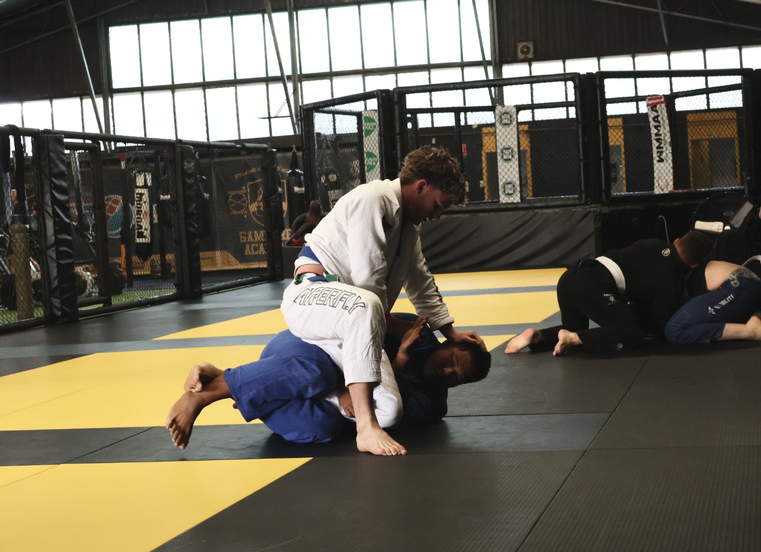 Brazilian Jiu-Jitsu Class in Brisbane