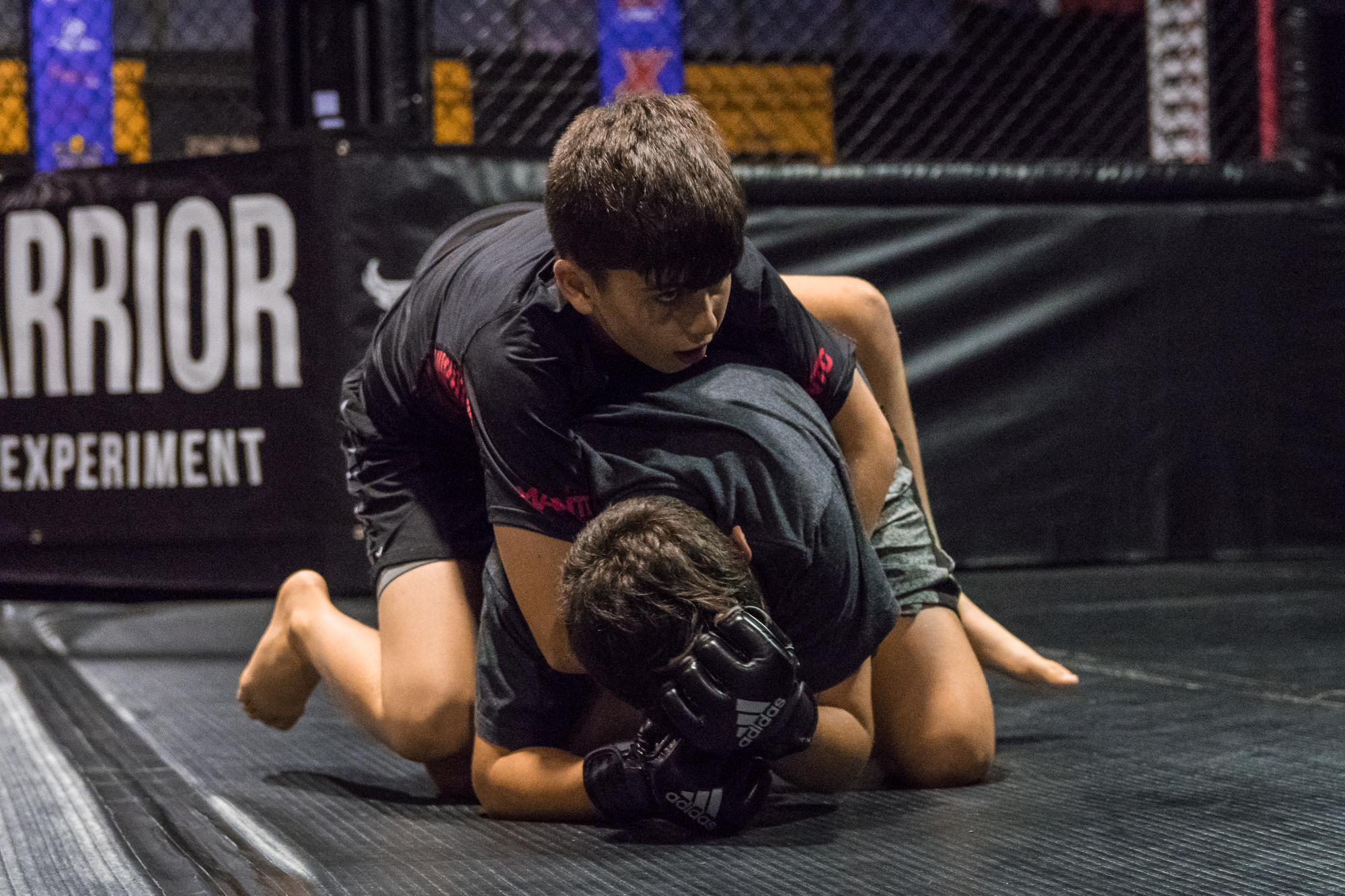 MMA striking in Brisbane