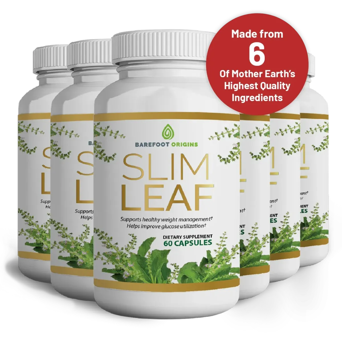 slim leaf weight loss