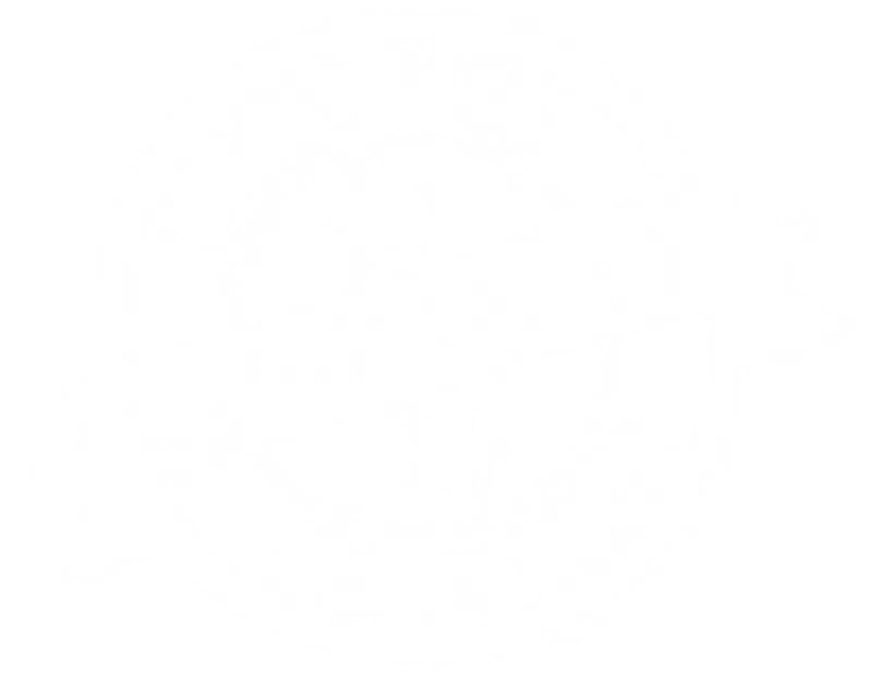 money back guarantee