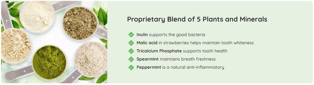 prodentim active ingredients