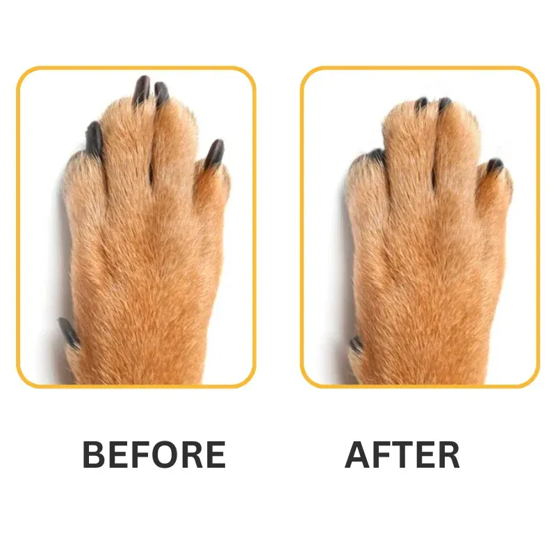Dog Grooming