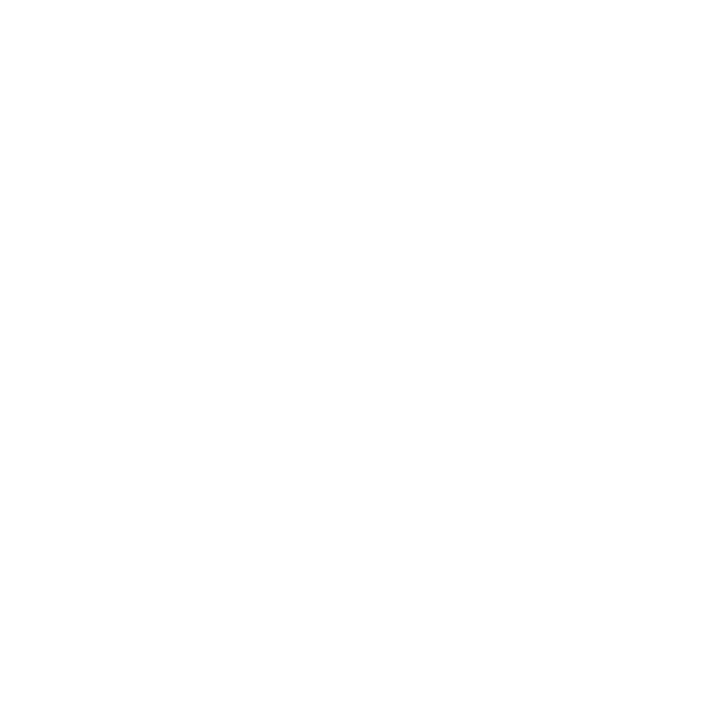 Wealth Guard Financial White Logo