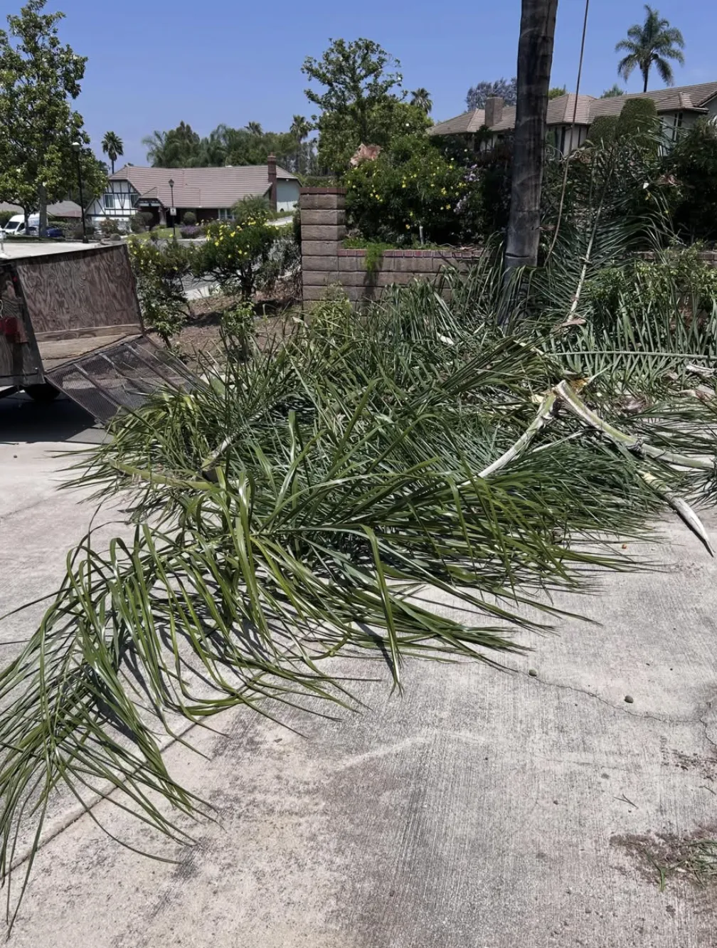 Concrete Contractor in Ventura County