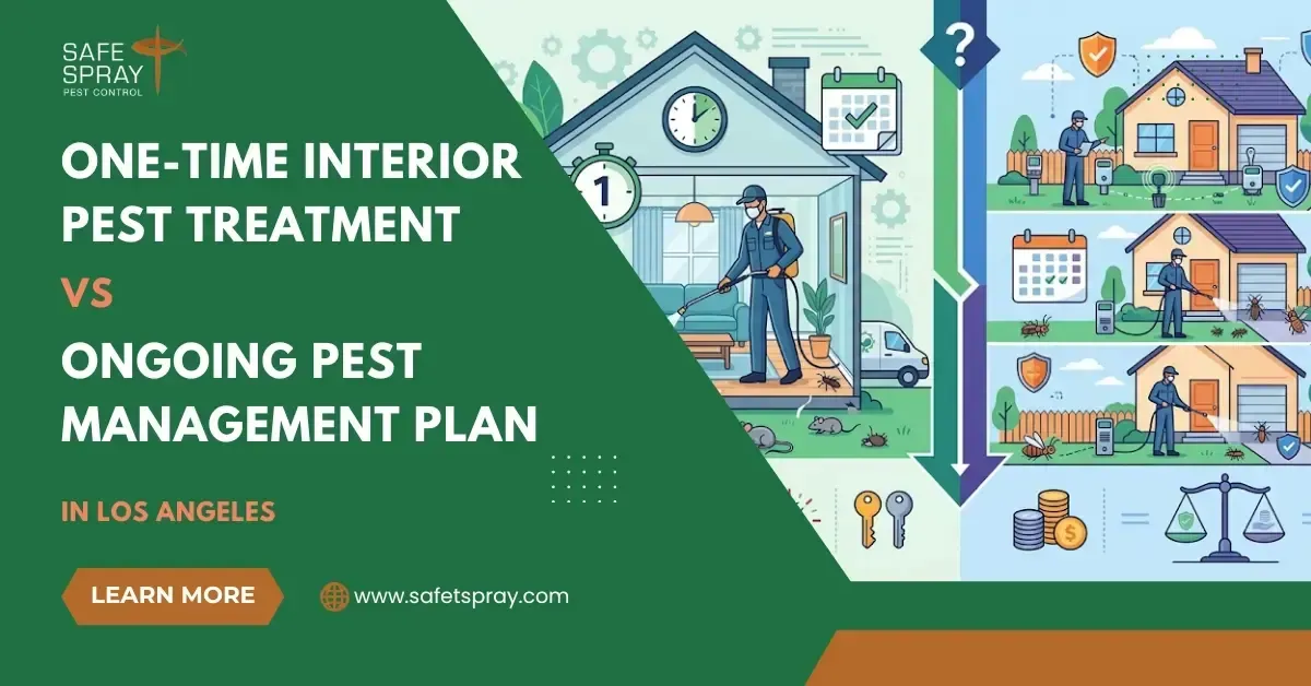 One-Time Interior Pest Treatment vs. Ongoing Pest Management Plan - Which One Is Right for Your Home?