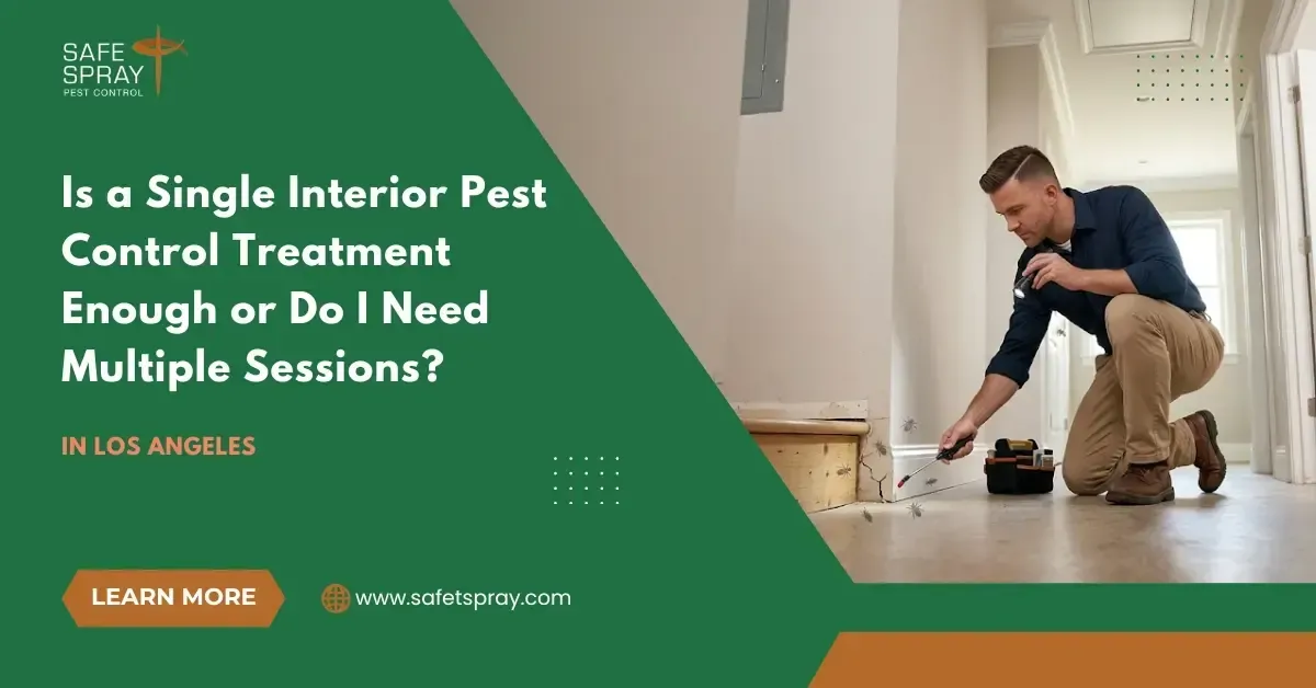 Is a Single Interior Pest Control Treatment Enough or Do I Need Multiple Sessions?