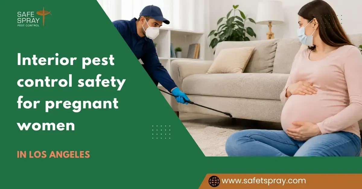 Is Interior Pest Control Safe for Pregnant Women or People with Respiratory Conditions?