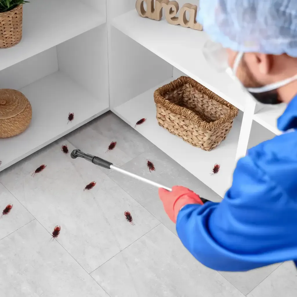 Pest control service Apple Valley