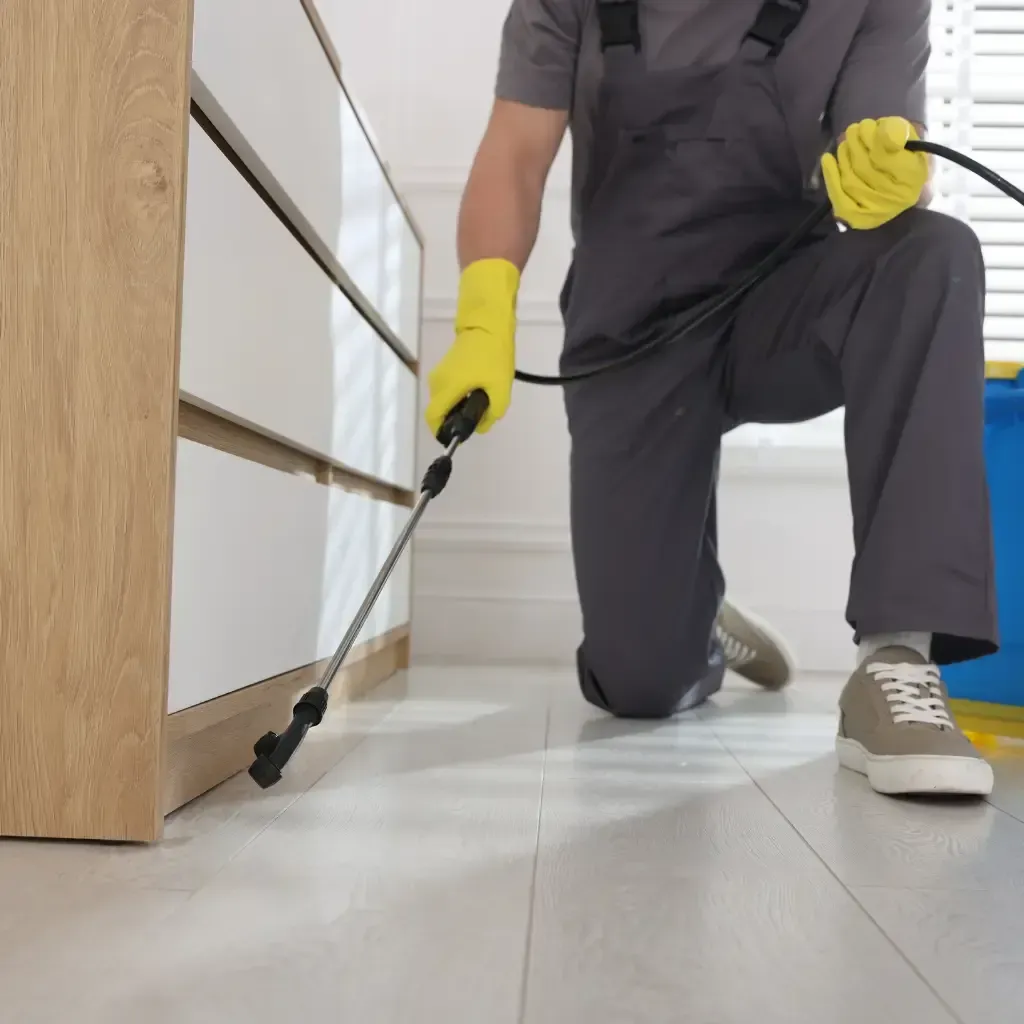 Pest control service Baldy Mesa